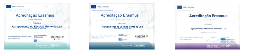 Acreditação Erasmusprofessor