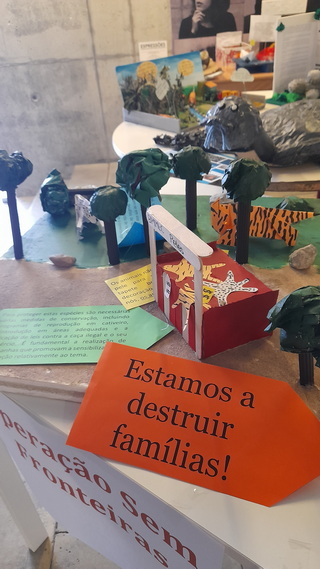 DESTRUIÇÃO resize