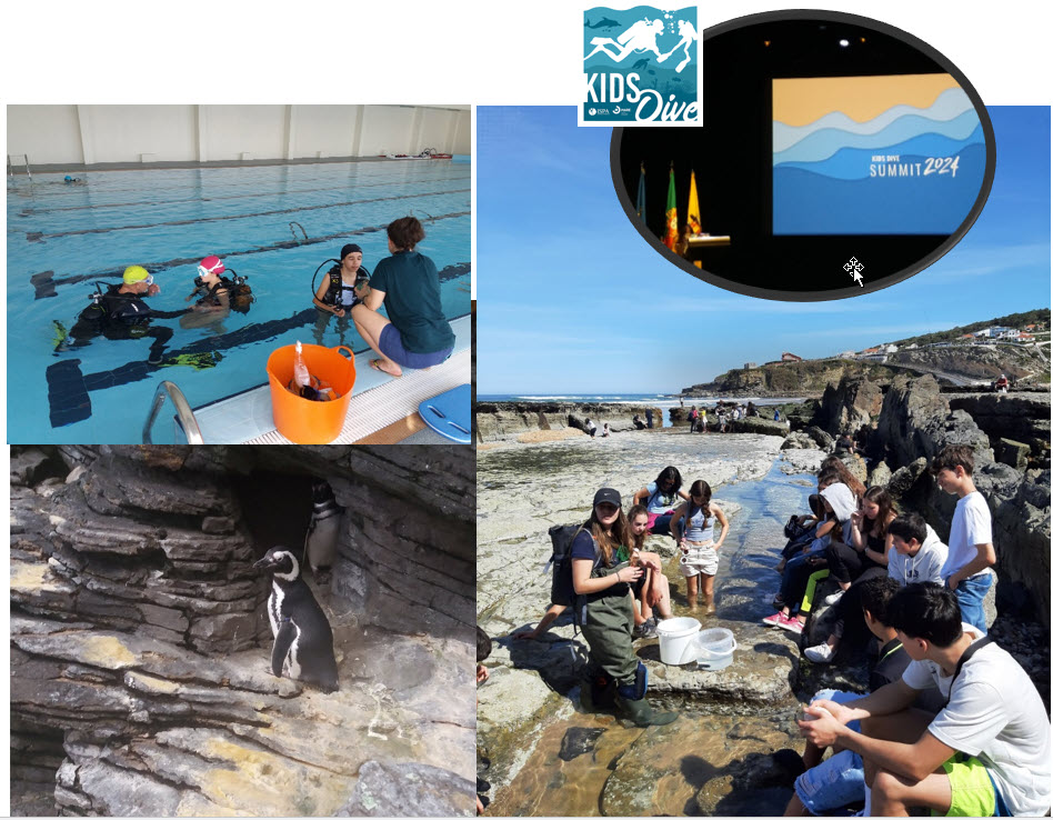 Projeto KIDS DIVE na Escola D. Fernando II