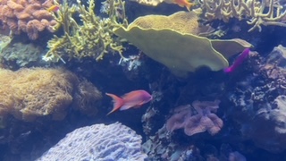 image6