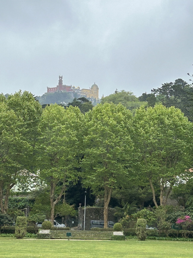 IMG 3292 resize