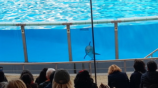 20241113 144158 resize