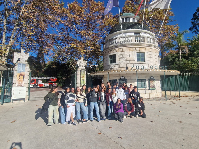 v. ZOO resize