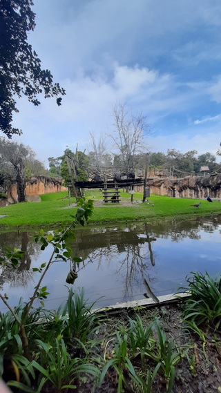 20250317 103842 resize