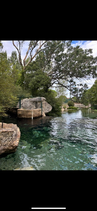 Imagem WhatsApp 2025 05 16 às 10.14.29 1d8f3a40 resize