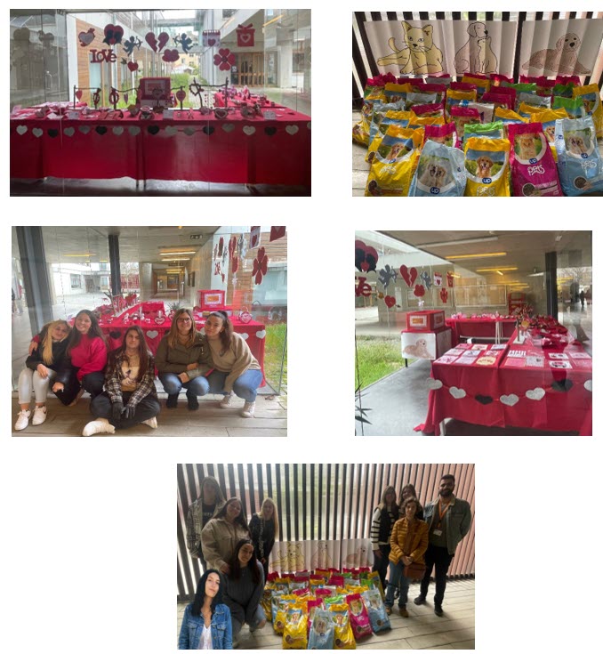 Voluntariado1